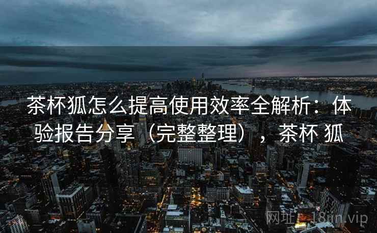 茶杯狐怎么提高使用效率全解析:体验报告分享(完整整理),茶杯 狐
