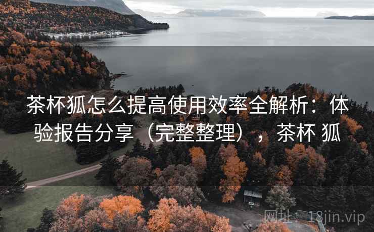 茶杯狐怎么提高使用效率全解析：体验报告分享（完整整理），茶杯 狐