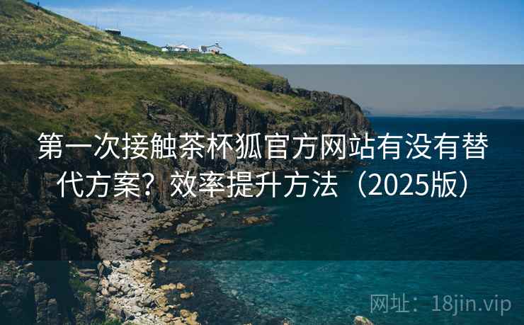 第一次接触茶杯狐官方网站有没有替代方案？效率提升方法（2025版）