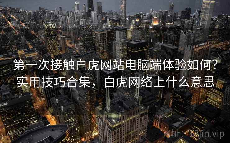 第一次接触白虎网站电脑端体验如何？实用技巧合集，白虎网络上什么意思