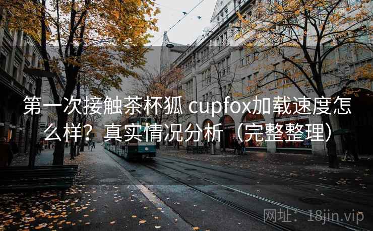 第一次接触茶杯狐 cupfox加载速度怎么样？真实情况分析（完整整理）