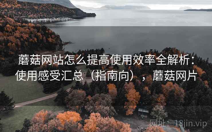 蘑菇网站怎么提高使用效率全解析：使用感受汇总（指南向），蘑菇网片