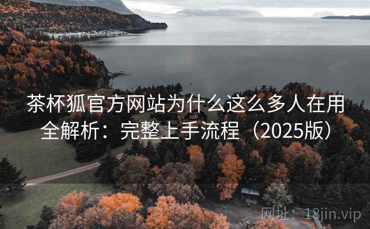 茶杯狐官方网站为什么这么多人在用全解析：完整上手流程（2025版）