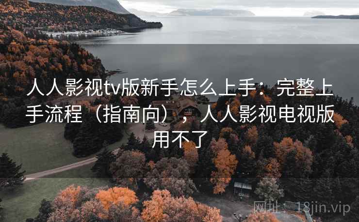 人人影视tv版新手怎么上手：完整上手流程（指南向），人人影视电视版用不了
