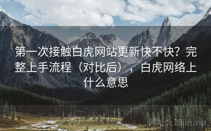 第一次接触白虎网站更新快不快？完整上手流程（对比后），白虎网络上什么意思