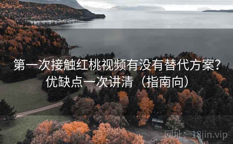 第一次接触红桃视频有没有替代方案？优缺点一次讲清（指南向）