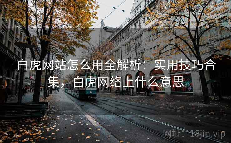白虎网站怎么用全解析:实用技巧合集,白虎网络上什么意思